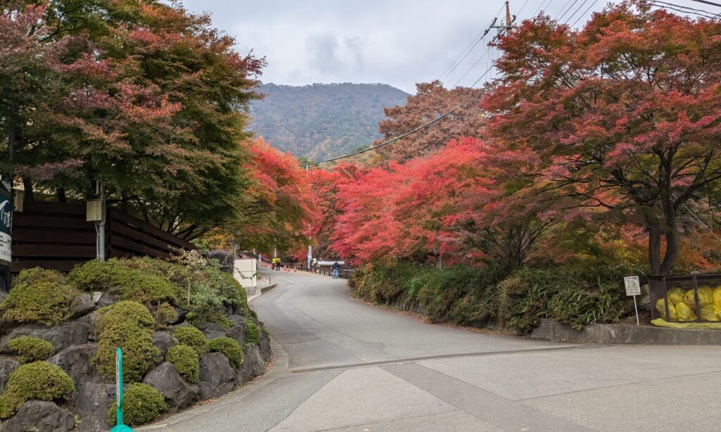 河口湖　紅葉回廊