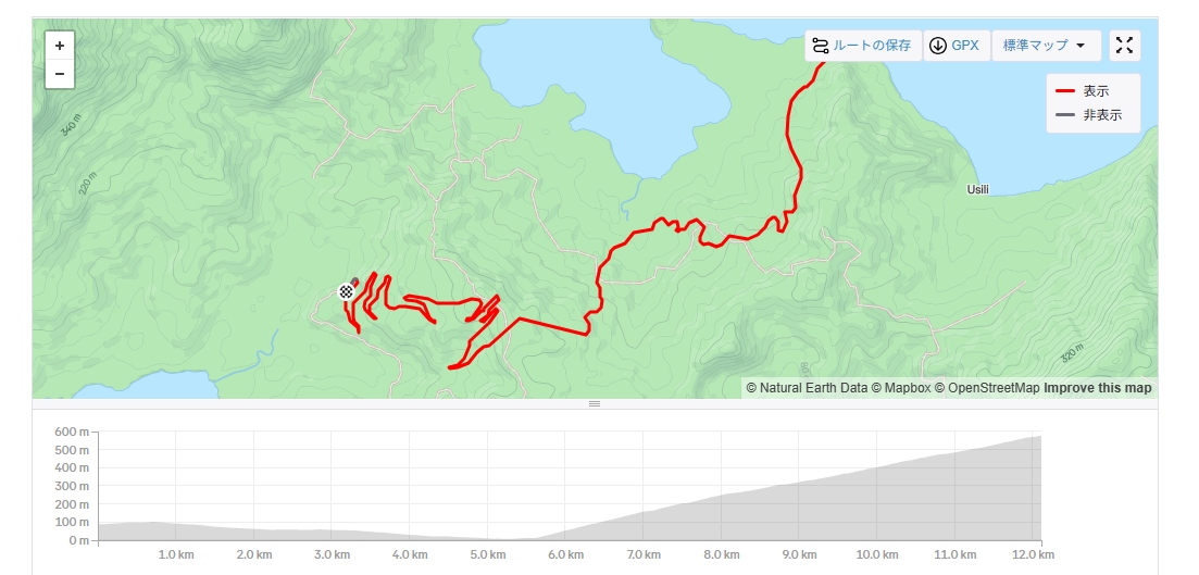 Alpe du Zwift DNF(Did Not Finish)です