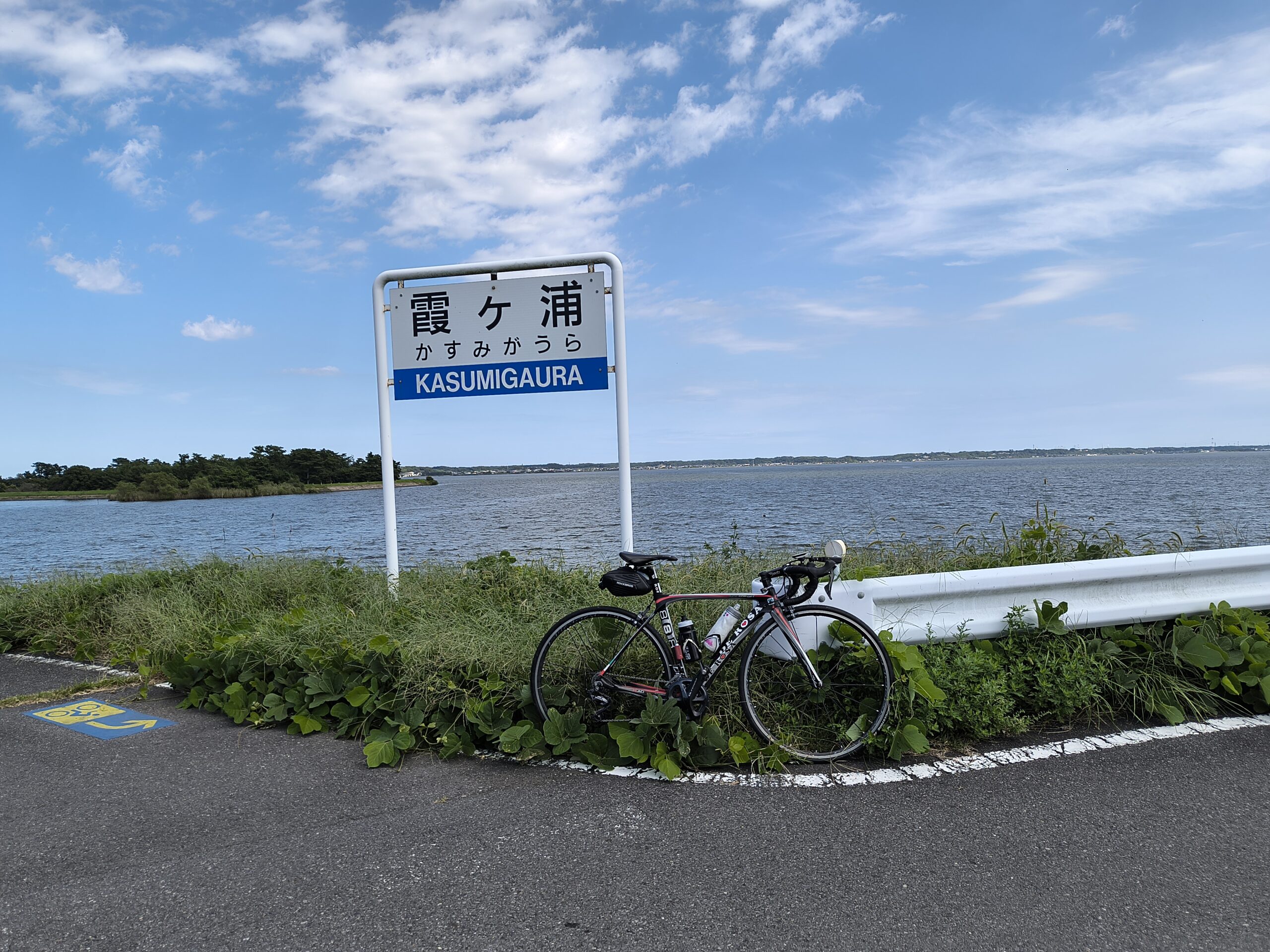 今年も走った霞ヶ浦