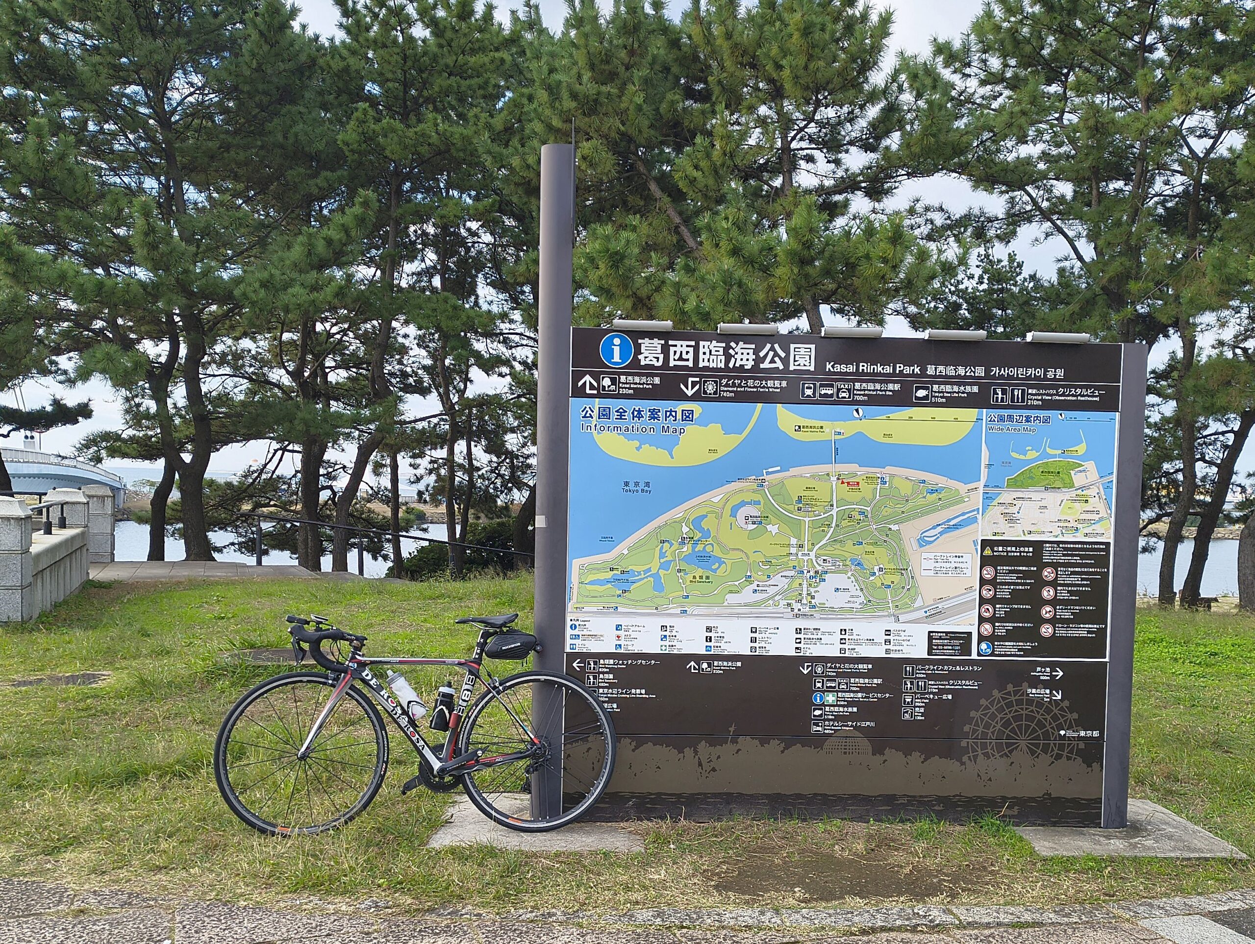 久々に葛西臨海公園まで行ったら