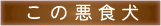 この悪食犬