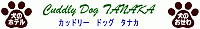 カッドリー　ドッグ　タナカ