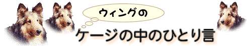 ウィングのケージの中のひとり言