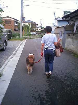 点滴の帰り道