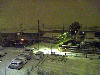 関東ではこれでも大雪です
