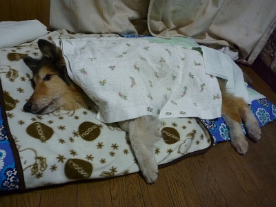 下痢