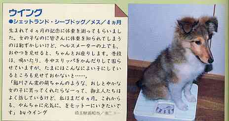 DogWorld