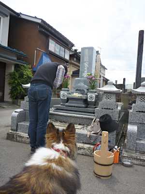お墓参り