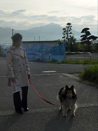 朝の御散歩、磐梯山がきれい