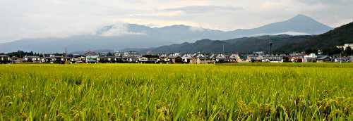 磐梯山を望む