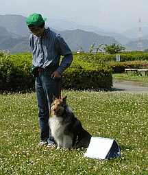 注目されて恥ずかしい