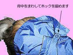 背中から見たところ