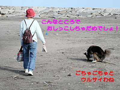 おしっこしちゃあダメでしょ！