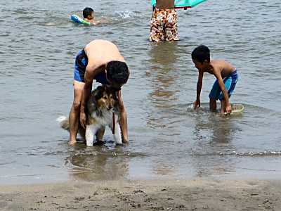 ウィングの海水浴