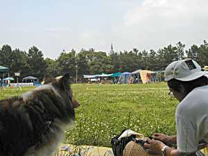 見学＆応援