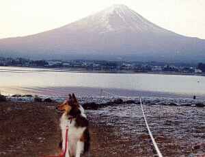 早朝の河口湖