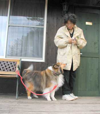 今日は何をして遊ぶの？