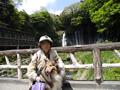ママといっしょに