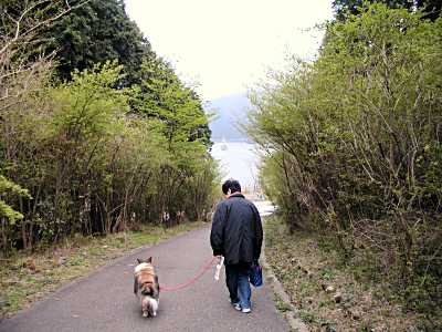 芦ノ湖が見えます