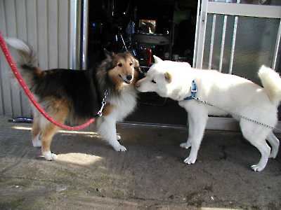 リキ君ったらしつこいんだから