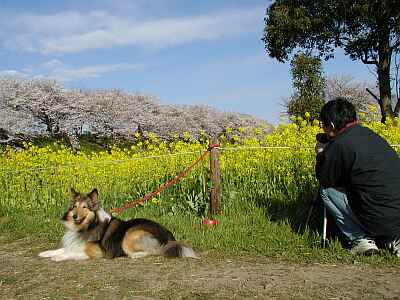 パパは写真撮って、退屈です