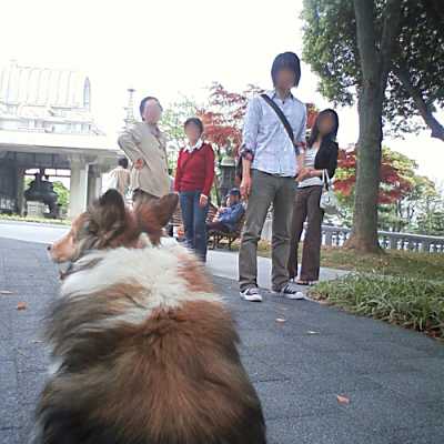 姫路の名古山墓地にお墓参りです