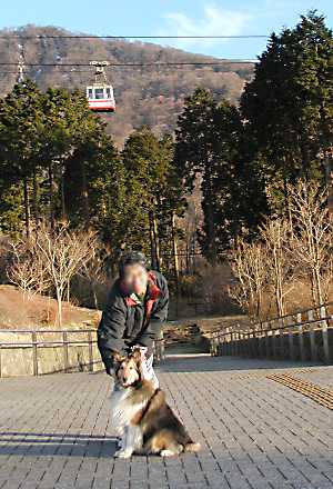 すぐ近くをロープーウェイが通っている公園があります