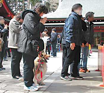 hakone6