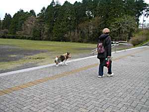 お散歩１