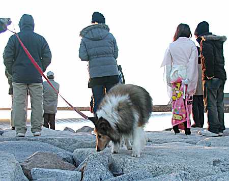 みんな初日の出に注目してるけど