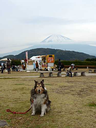 富士川サービスエリアにて