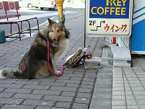 ウィングっていう喫茶店