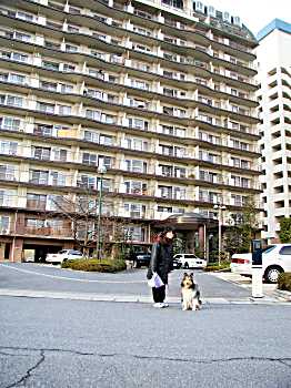 このマンションの１２階に泊まったんだよ