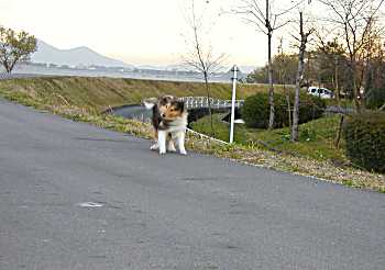 翌日は風が強くて寒かったけど、揃ってお散歩です