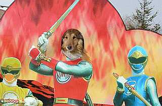 ハリケンジャー