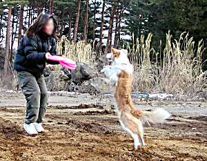 パーリーちゃんとパーリーママ