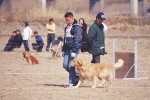 龍之介君