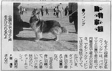 埼玉新聞