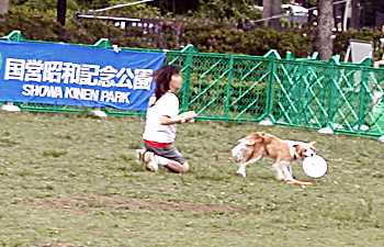 パーリーちゃんの演技です