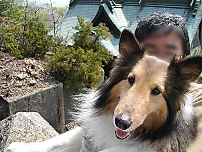 生石神社の浮石です