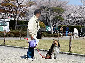 霞城公園でママと一緒