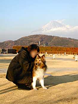 帰り道の富士川SAにて